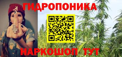 мяу мяу мука Кунгур