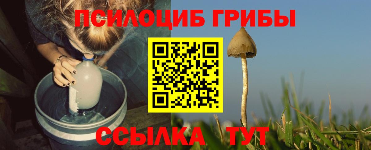 Псилоцибиновые грибы MAGIC MUSHROOMS Воскресенск